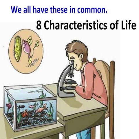 Unit 2 Characteristics of cells lesson week 7and 8.pptx