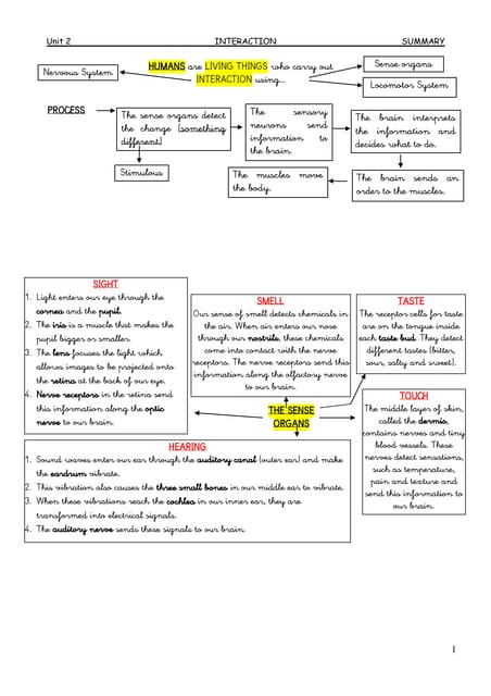 Science Form 2:Chapter 1