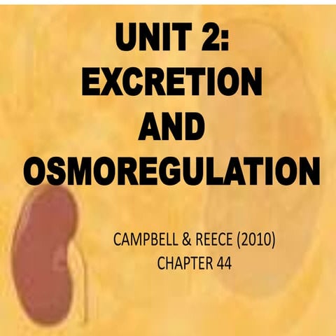 Unit 2 excretion and osmoregulation