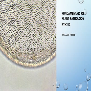 Comprehensive Overview of Fungal Plant Pathology and Diseases | PPTX