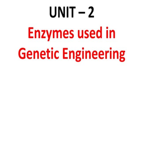 Enzymes used in Genetic Engineering