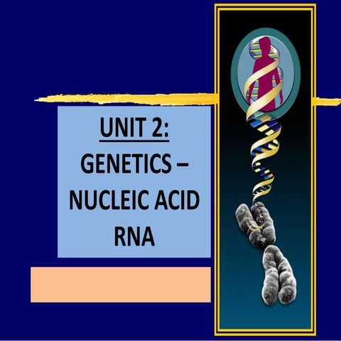 Structure and importance of RNA | PPTX