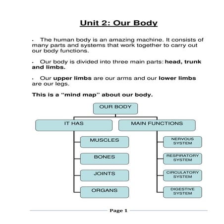 Unit 2 our body
