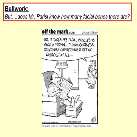 Unit 2 Review Musculoskeletal System