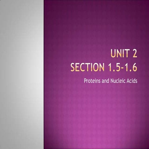 Proteins and Nucleic Acids