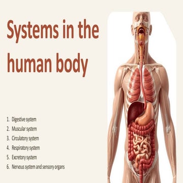 Human-Body-Systems-Workbook.208290491.pdf