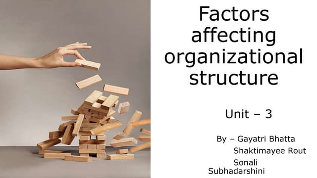 Factors Affecting Organisational Structure