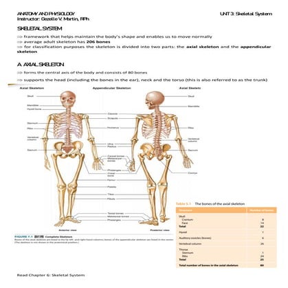 Human Physiology & Pathophysiology UNIT 3.pdf