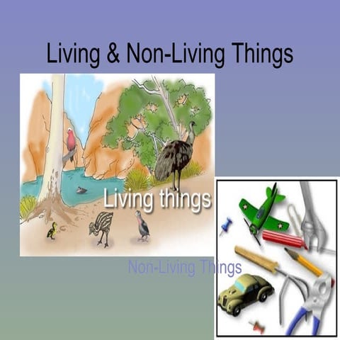 Living & Non Living Things
