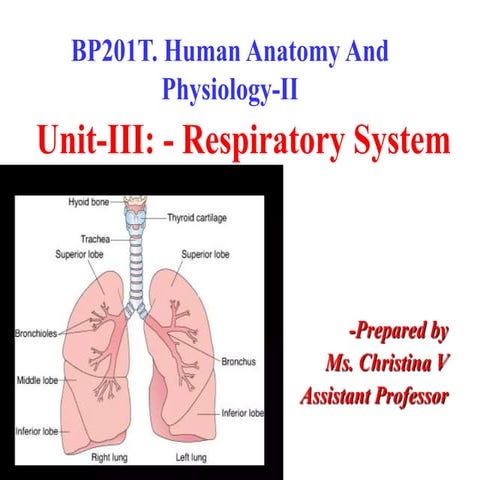 UNIT 3-Respiratory System bpharm semester 2