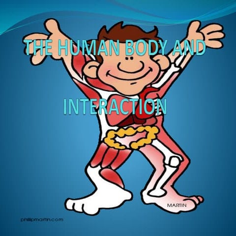 The human body and interaction