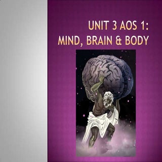 Unit 3 Mind, Brain & Body Revision