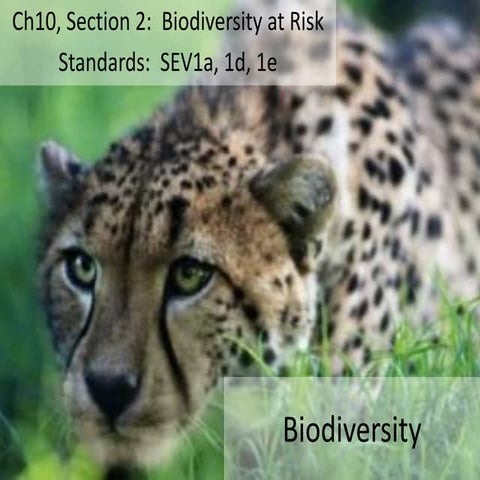 Unit 3 b ch 10 s2  biodiversity at risk