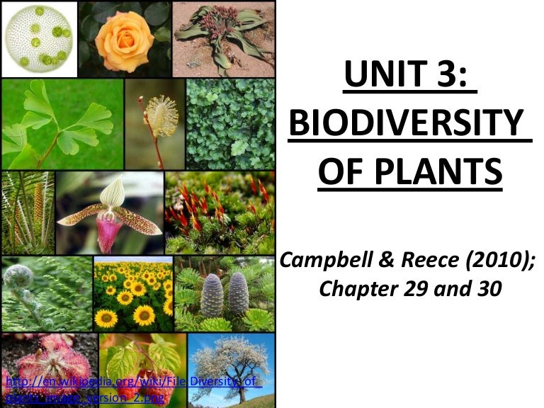 Unit 3 biodiversity of plants