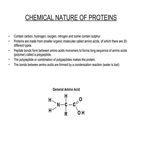 Unit 3 Biology Study Cards