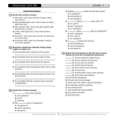 Unit 3 b will | PDF