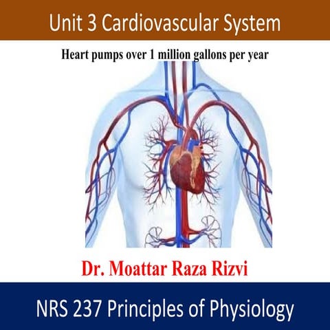 Unit 3 cardiovascular system nrs237