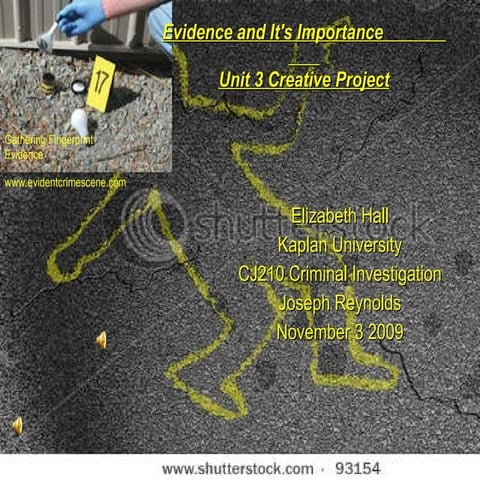 Unit 3 Creative Project