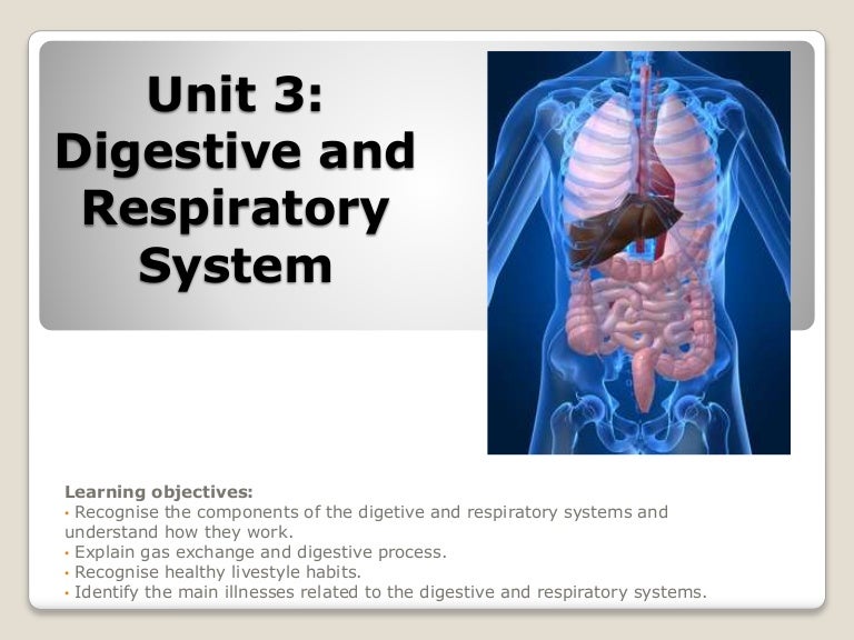 Unit 3 Digestive and Respiratory Systems