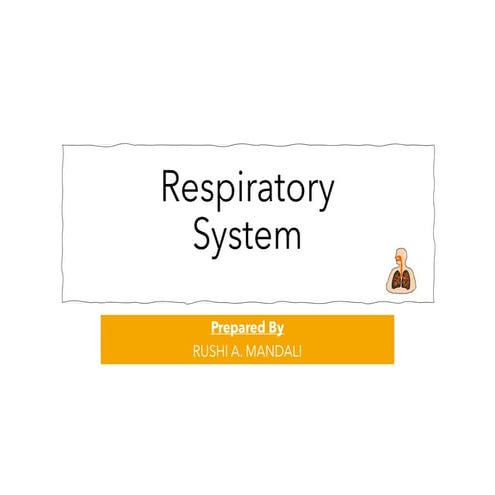 Respiratory  System , Urinary System