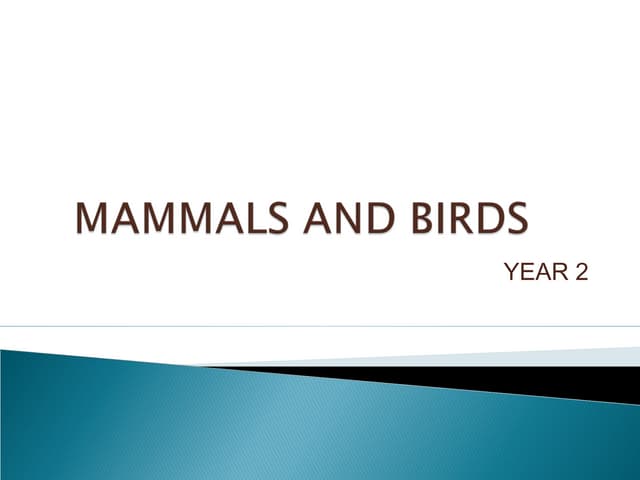 Mammals and Birds year 2