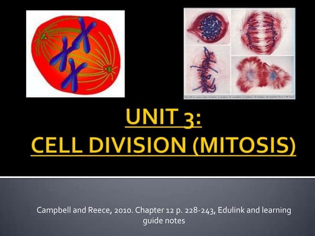 Unit 3 mitosis