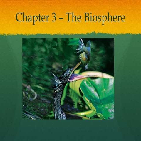 Biology 1 Unit 3 notes