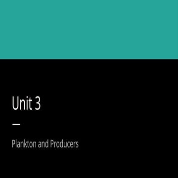 Unit 3 Notes_ Plankton and Producers.pptx