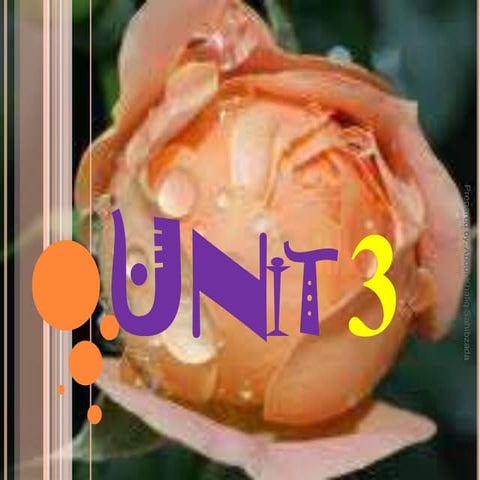 Interchange, Unit 3 presentation