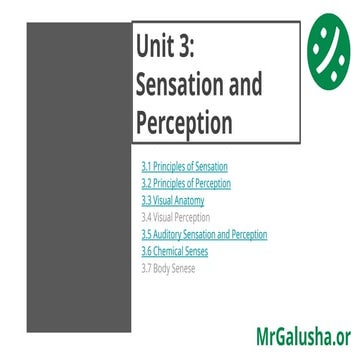 AP Psych Unit 3 Sensation and Perception.pptx