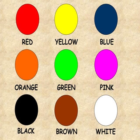THE COLORS | PPT
