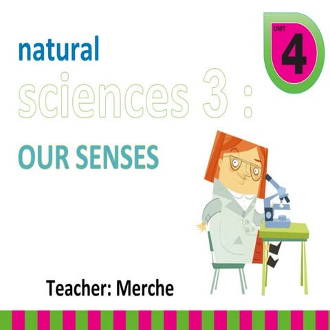 Unit 4. our senses