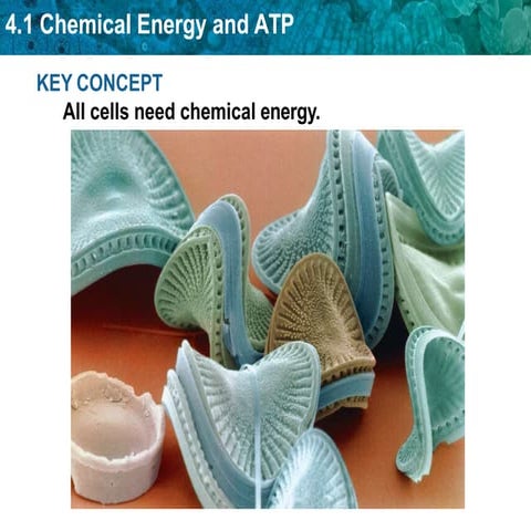 unit4-chemicalenergyandatp-100408114024-phpapp01.pptx