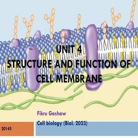 Unit 4-STRUCTURE & FUNCTION OF CELL MEMBRANE.ppt