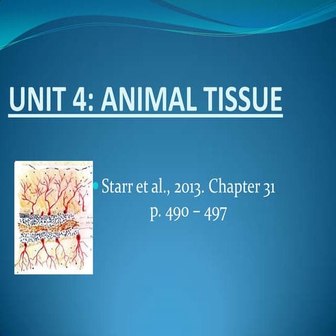 animal tissue