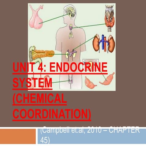 Unit 4 endocrine system(1)