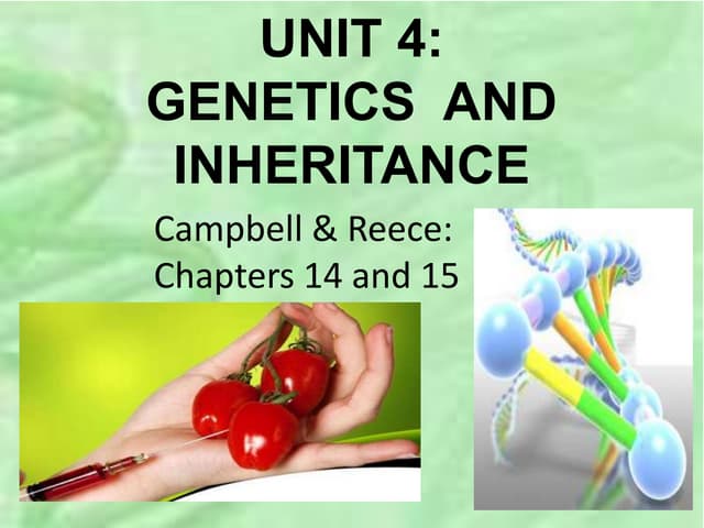 Unit 4 genetics and inheritance