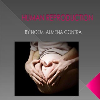 Unit 4 human reproduction noemi s