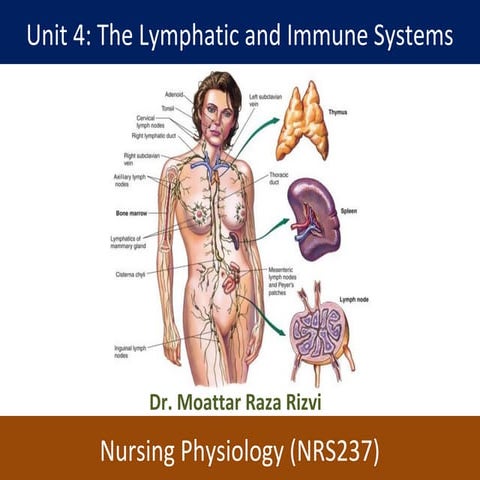 Unit 4 lymphatic system nrs 237