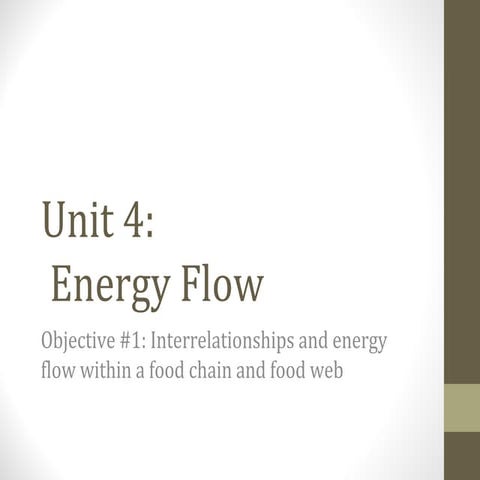 Energy Flow - Food Chains/Webs
