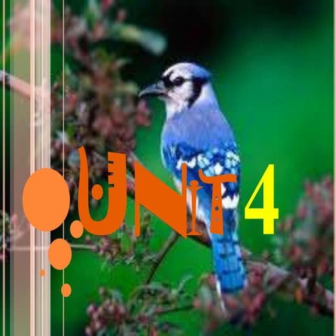 Interchange, Unit 4 presentation