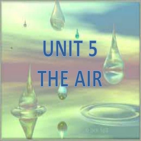 Unit 5