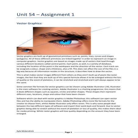 Unit 54   assignment 1