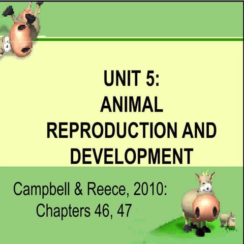 Unit 5 animal reproduction and development