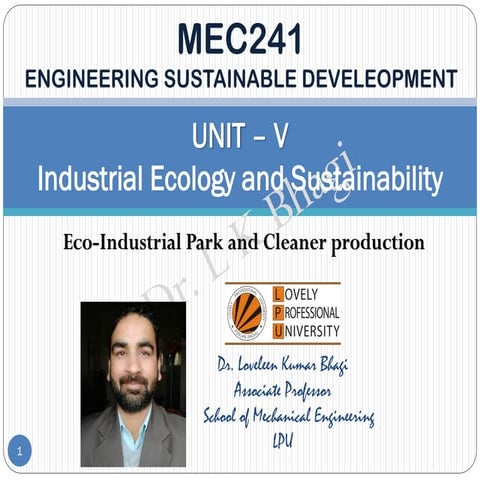 Eco-industrial park and cleaner production