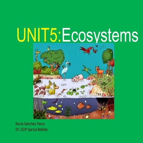 Unit 5 Ecosystems