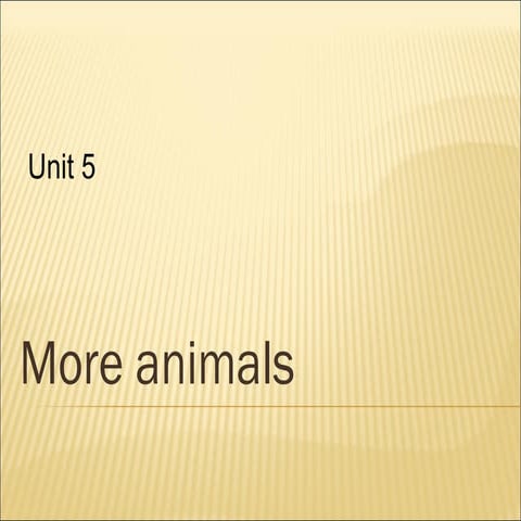 More animals