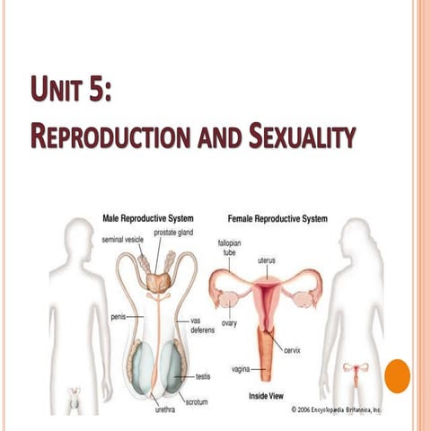 Unit5: Reproduction and Sexuality