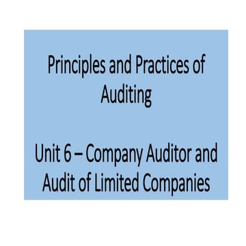 PPA - Unit 6 - Company Auditor