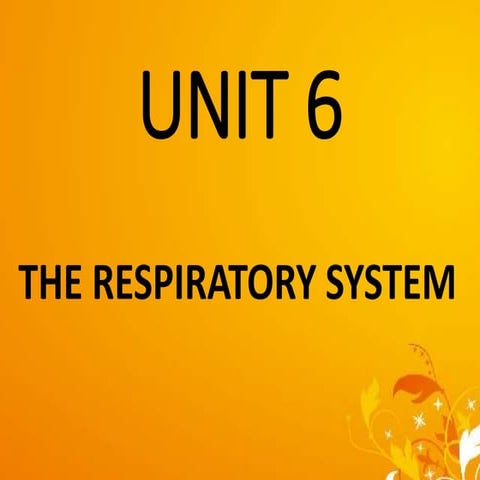 UNIT 6-respiratory system for Gnm and b.sc. nursing